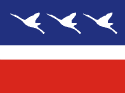 Bandeira Guaratinguetá SP bandeira Guaratinguetá SP