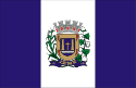 Bandeira Leme SP bandeira Leme SP