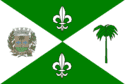 bandeira Macaubal SP