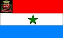 Bandeira Monte Alto SP bandeira Monte Alto SP