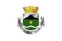 Bandeira Monte Mor SP bandeira Monte Mor SP
