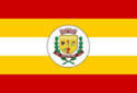 Bandeira Neves Paulista SP bandeira Neves Paulista SP