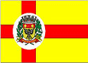 bandeira Nhandeara SP