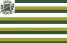 bandeira Paranapuã SP