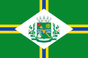 Bandeira Paulínia SP bandeira Paulínia SP