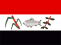 Bandeira Pirassununga SP bandeira Pirassununga SP