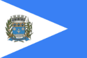 bandeira Reginópolis SP