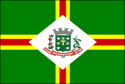 bandeira Santo Antônio do Jardim SP