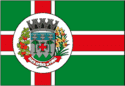 bandeira Santo Antônio do Pinhal SP