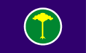 Bandeira São Carlos SP bandeira São Carlos SP
