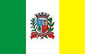 Bandeira São Manuel SP bandeira São Manuel SP