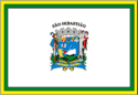 Bandeira São Sebastião SP bandeira São Sebastião SP