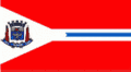 Bandeira Suzano SP bandeira Suzano SP