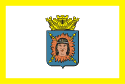 Bandeira Tupã SP bandeira Tupã SP