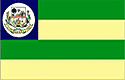 Bandeira Ananás TO bandeira Ananás TO