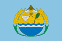 Bandeira Colméia TO bandeira Colméia TO
