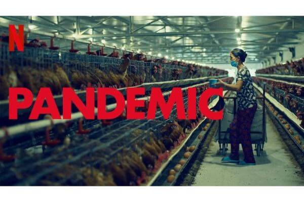 Série Pandemic