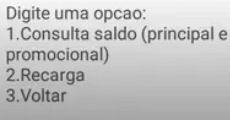 Saldo e Recarga 2