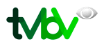 TV BV logo TV BV