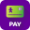 Vivo Pay Vivo Pay