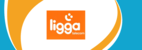 Conheça os canais de atendimento da Ligga Telecom!